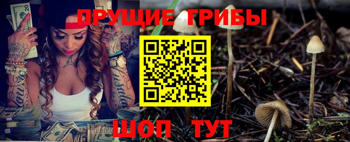 Набережные Челны  Псилоцибиновые грибы GOLDEN TEACHER  Вход с VPN 
