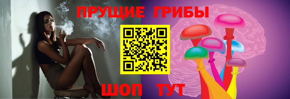 Псилоцибиновые грибы Cubensis Набережные Челны